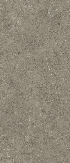 Atlas Concorde Marvel Meraviglia 120х278 см MERAVIGLIA Grigio Elegante Lappato 6 mm