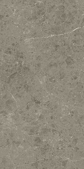 Atlas Concorde Marvel Meraviglia 60х120 см MERAVIGLIA Grigio Elegante Matt 9 mm