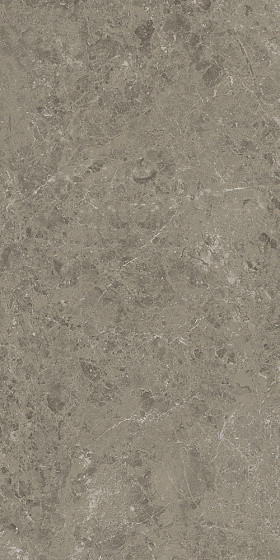 Atlas Concorde Marvel Meraviglia 60х120 см MERAVIGLIA Grigio Elegante Velvet 9 mm