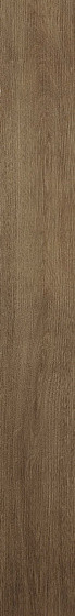Atlas Concorde Arbor Cognac Ret. 18,5x150
