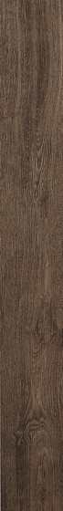 Atlas Concorde Arbor Tobacco Ret. 18,5x150