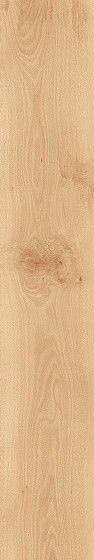 Atlas Concorde Log Cansei Murano 20х120