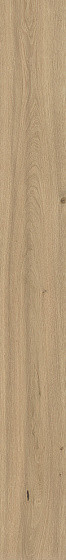 Atlas Concorde Log Natural Moon Oak 9,5 mm