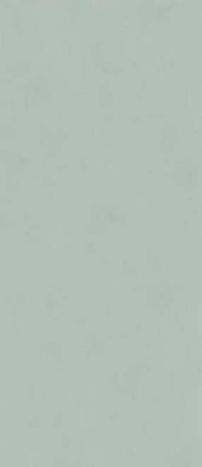 Atlas Concorde Boost Color Jade 120x278 6 mm Italy матовый универсальный