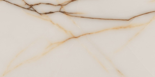 Neodom Splendida Fancy Onix Glossy 60x120