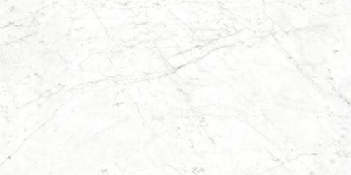 Neodom Splendida Carrara Bianco Glossy 60x120