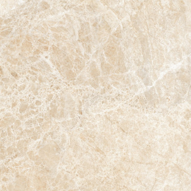 Neodom Ambassador Emperador Beige Glossy 60x60