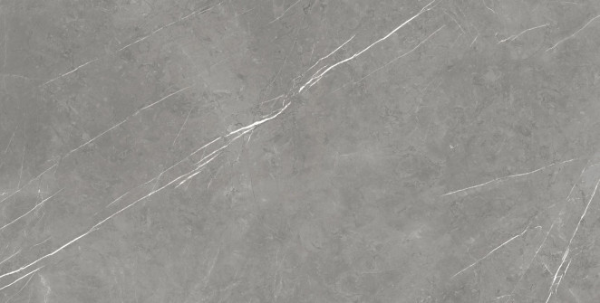 Atlas Concorde Russia Forte dei Marmi Elegant Grey Rett 80x160