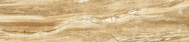 Alma Ceramica Wonderwood GFA92WDW48R 200х900x8