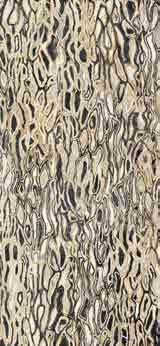 Imola The Room GHEPARD6 12LP 60x120