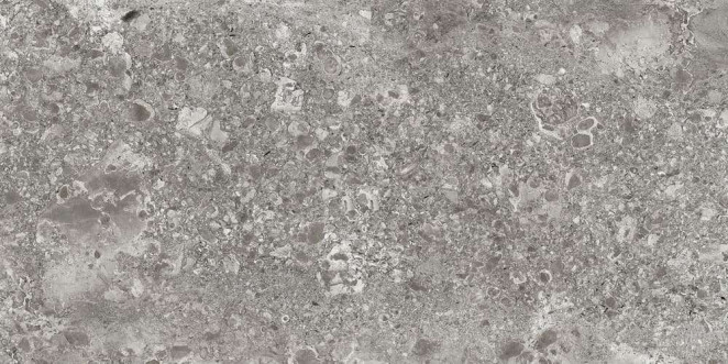 Idalgo Lunar Граните Лунар Серый MR 120x60