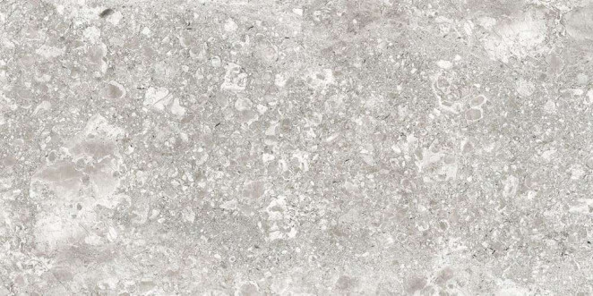 Idalgo Lunar Граните Лунар Светло-Серый MR 120x60