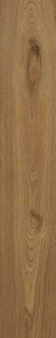 APE Ceramica Koen Miele 20х120 матовый универсальный