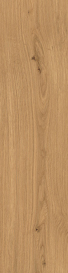 Atlas Concorde Log LASTRA 20MM для уличного применения Forest Amber Oak 20 mm