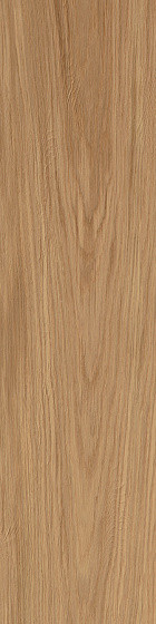 Atlas Concorde Log LASTRA 20MM для уличного применения Forest Deep Oak 20 mm