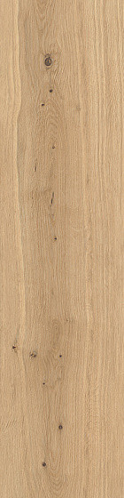 Atlas Concorde Log LASTRA 20MM для уличного применения Forest Icon Oak 20 mm
