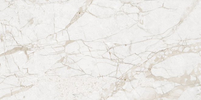 NT Ceramic Marmo Impero Grey Carving матовый 60х120