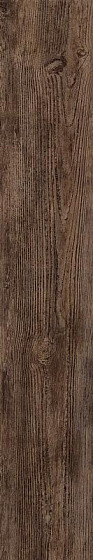 Atlas Concorde Nash Light Brown 20x120