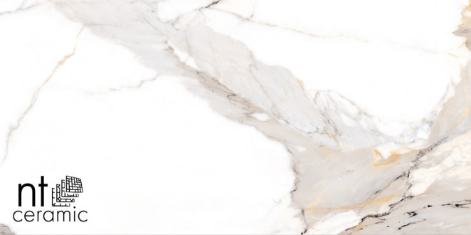 NT Ceramic Bright and Shiny NTT9121P Calacatta Light Grey 60x120