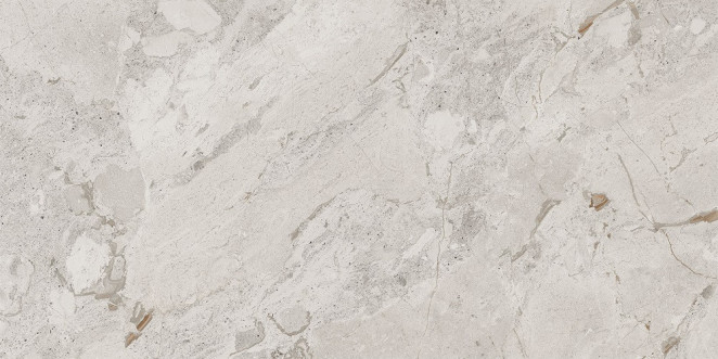Cerdomus Karnis Керамогранит Silver Levigato 93523, 60х120