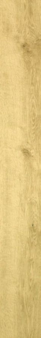 Marazzi Italy Treverkhome Betulla MJW9