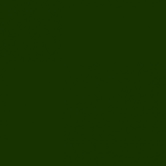 APE Ceramica Lord Kingdom Verde Botella 20х20