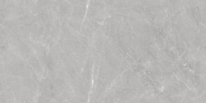 Neodom London 60x120 Firenze Grey TM 60x120
