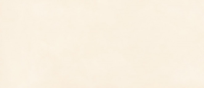 Marazzi Italy Grande Resin Look Bianco Satin 120x278