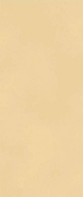 Atlas Concorde Boost Color Sun 50x120 Italy матовая керамическая