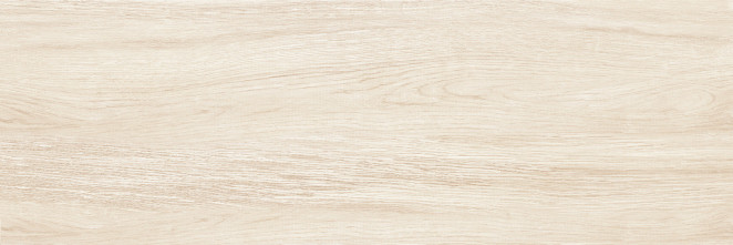 Alma Ceramica Lazio TWA11LZO404 200х600*7.5