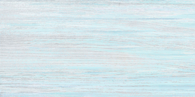 Alma Ceramica North TWU09NRT606 249х500*7.5
