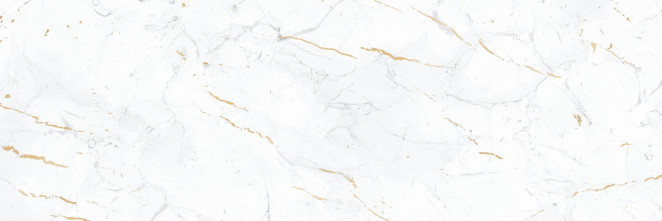 Alma Ceramica Florian TWU12FLN00R 246х740*10
