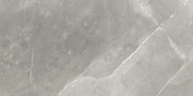 Neodom Sale 60x120 Fior di Bosco Polished 60x120