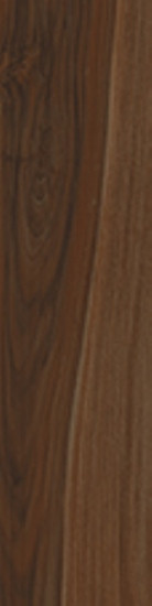 Cerdomus Savanna Brandy 20x100