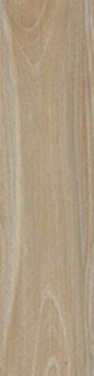 Cerdomus Savanna Honey 10x100