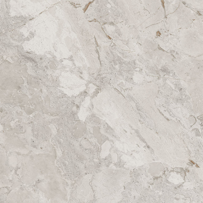Cerdomus Karnis Широкоформатный керамогранит Silver Levigato 93516, 120х120