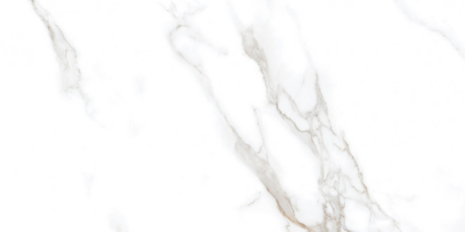 Neodom Splendida Statuario Irish Gold Polished 60x120