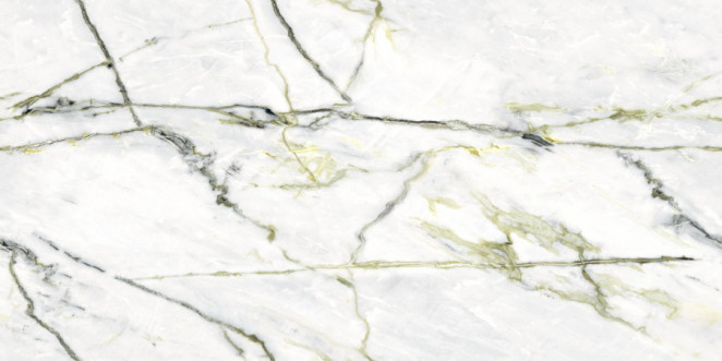 Neodom Splendida Calacatta Green (Book) Polished 60x120