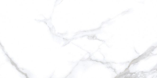 Neodom Splendida Statuario Chic Polished 60x120