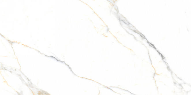 Neodom Splendida Statuario Platinum Carving 60x120