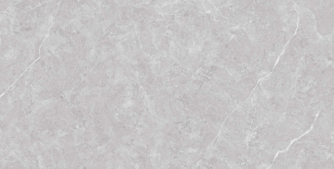 Neodom Stone&More Tokyo Grey Matt 60x120