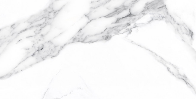 Neodom Supreme Calacatta Classico Polished 60x120