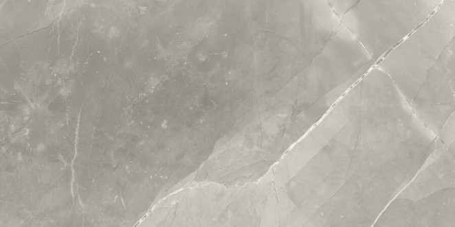 Neodom Supreme Fior di Bosco Polished 60x120