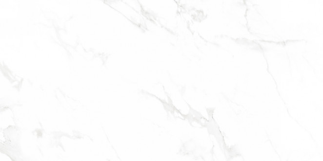 Neodom Supreme Venus Bianco Polished 60x120