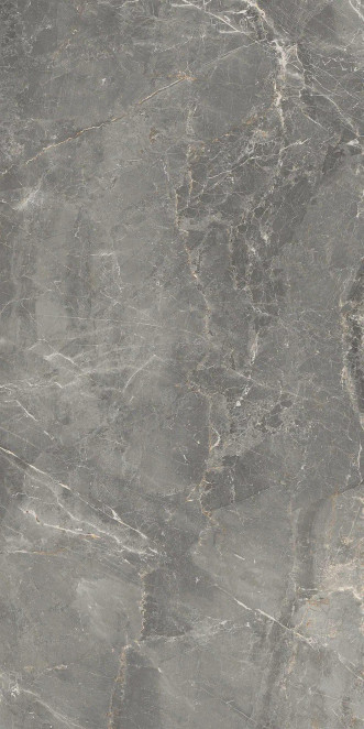 Cerdomus Sybil Silver Pol. 60x120