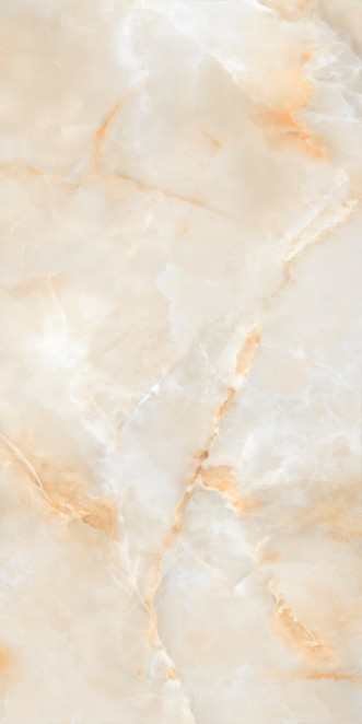 Neodom Titanium Onix Delicato Polished 120x278