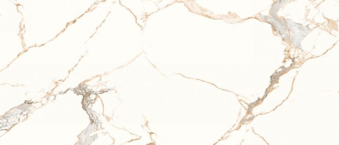 Neodom Titanium Statuario Gold Polished 120x278