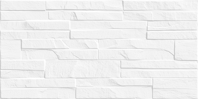 Alma Ceramica Discover TWU2550DCV10 плитка облицовочная рельефная 24.9х50