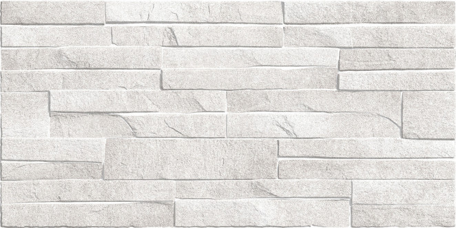 Alma Ceramica Discover TWU2550DCV14 плитка облицовочная рельефная 24.9х50