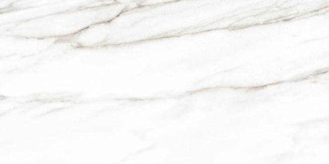 Alma Ceramica Euphoria TWU2550EPH04 плитка облицовочная 24.9х50